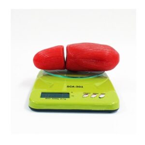 태양 근육모형 1kg